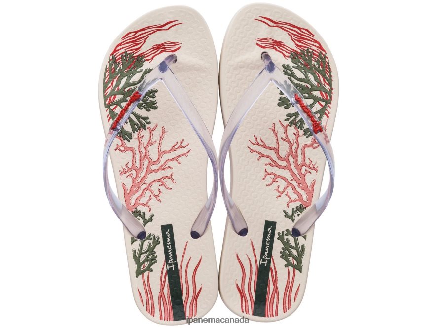 Women Anatomic Reef Ipanema Ivory Trans Footwear JX0T4N151