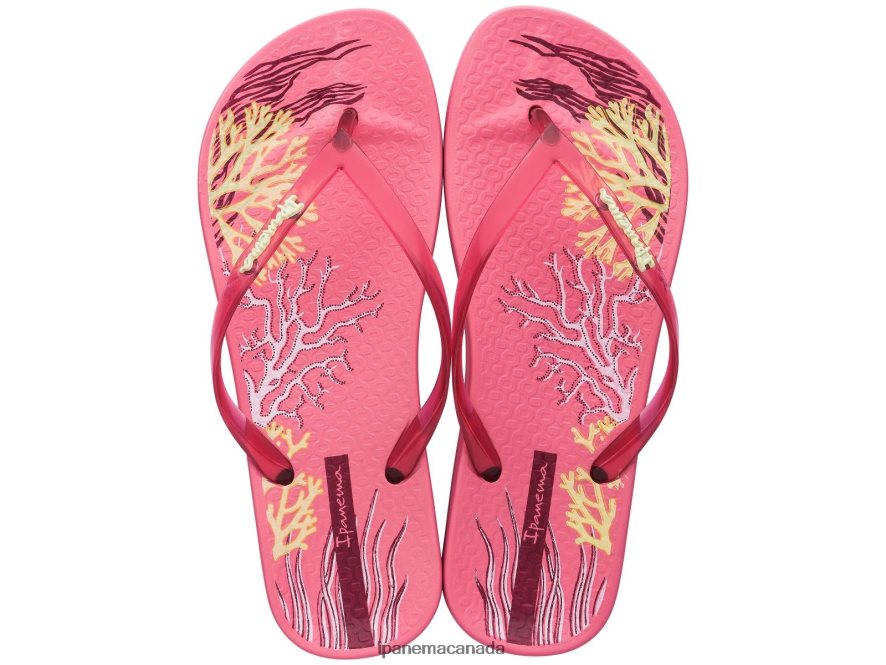 Women Anatomic Reef Ipanema Pink Trans Footwear JX0T4N152