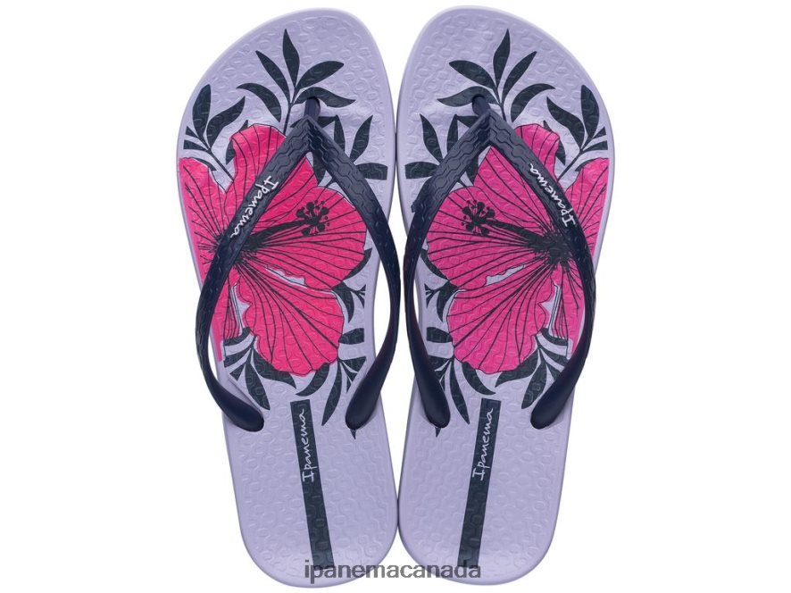 Women Anatomic Temas Ipanema Purple Footwear JX0T4N289
